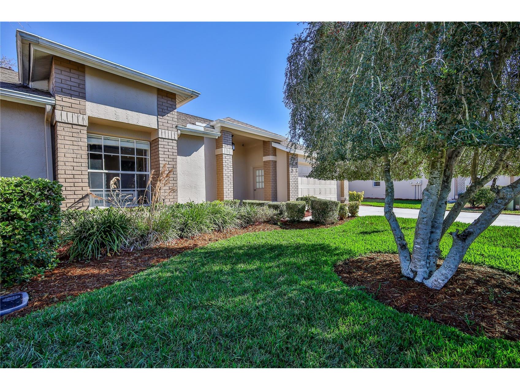 7443 Willow Brook Drive Spring Hill FL 34606 W7883210 image3