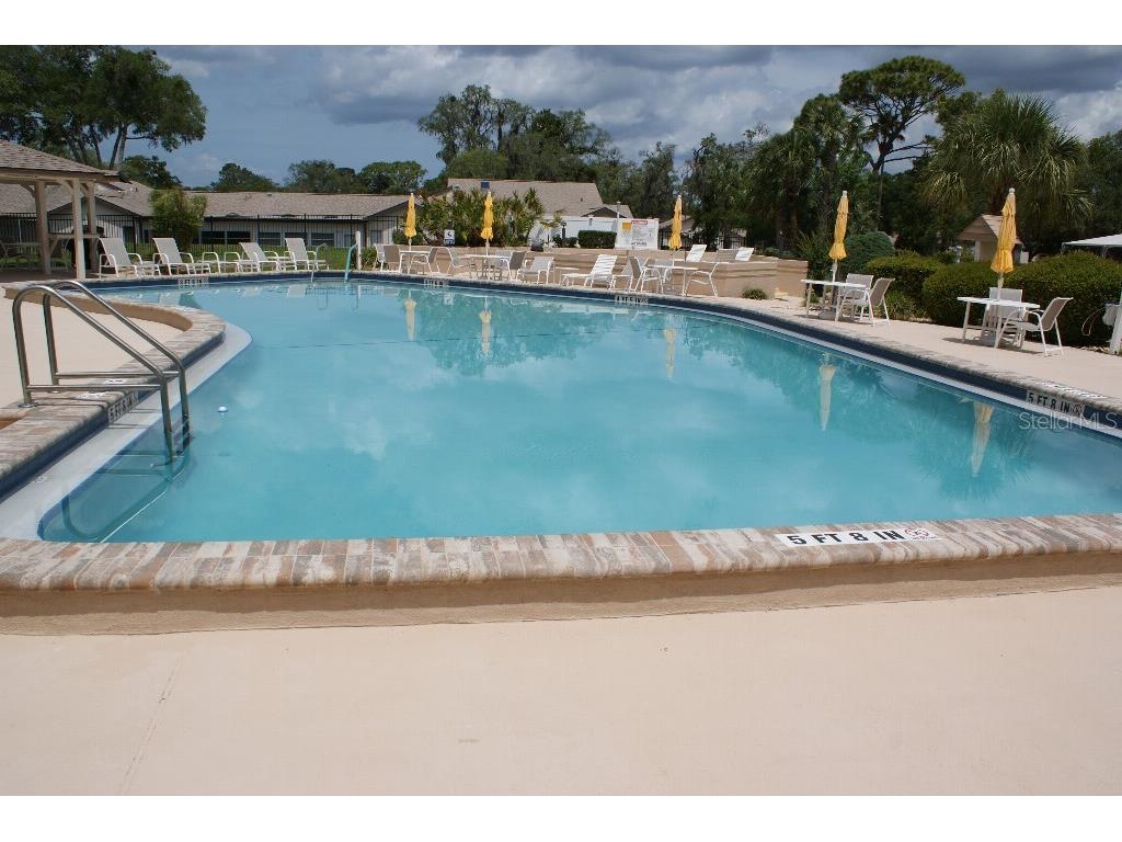 7445 Crestwood Drive Weeki Wachee FL 34613 TB8520465 image41