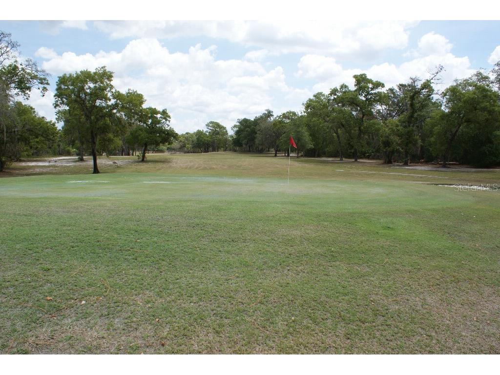 7445 Crestwood Drive Weeki Wachee FL 34613 TB8520465 image44
