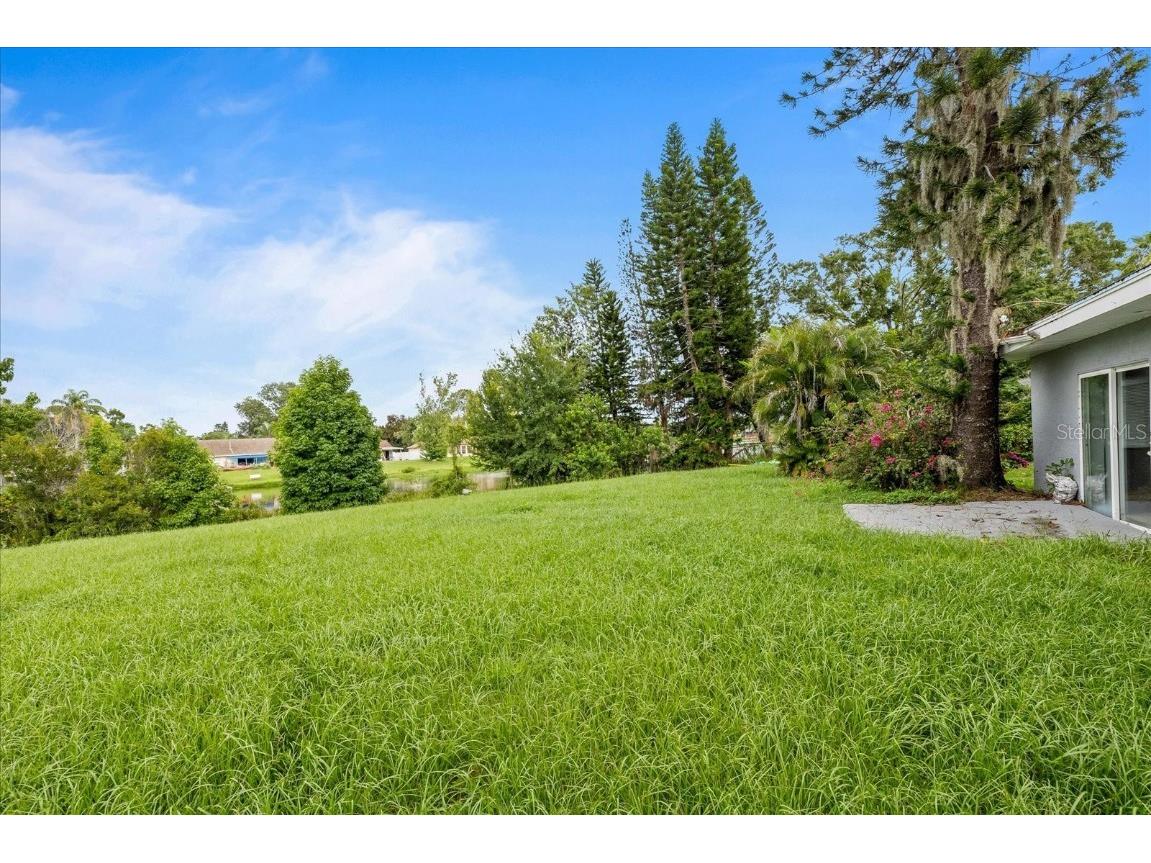 7445 Daggett Terrace New Port Richey FL 34655 TB8404072 image27