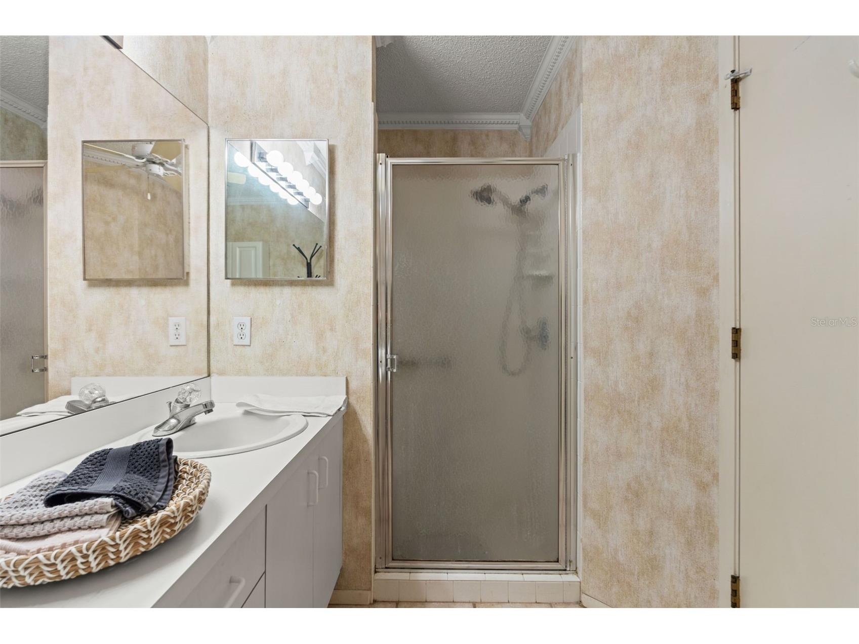 7446 Baywood Forest Circle Spring Hill FL 34606 W7884637 image19