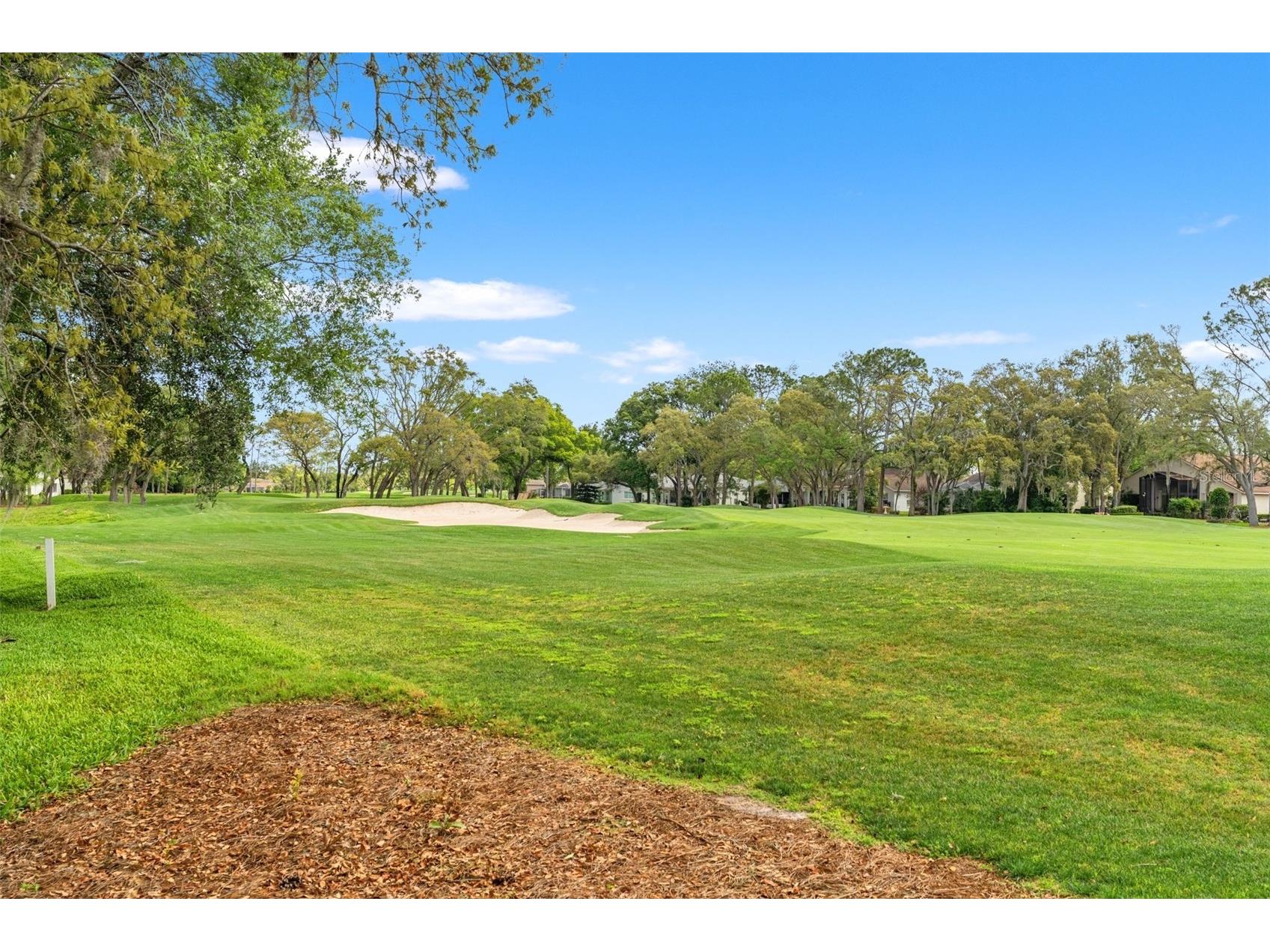 7446 Baywood Forest Circle Spring Hill FL 34606 W7884637 image37