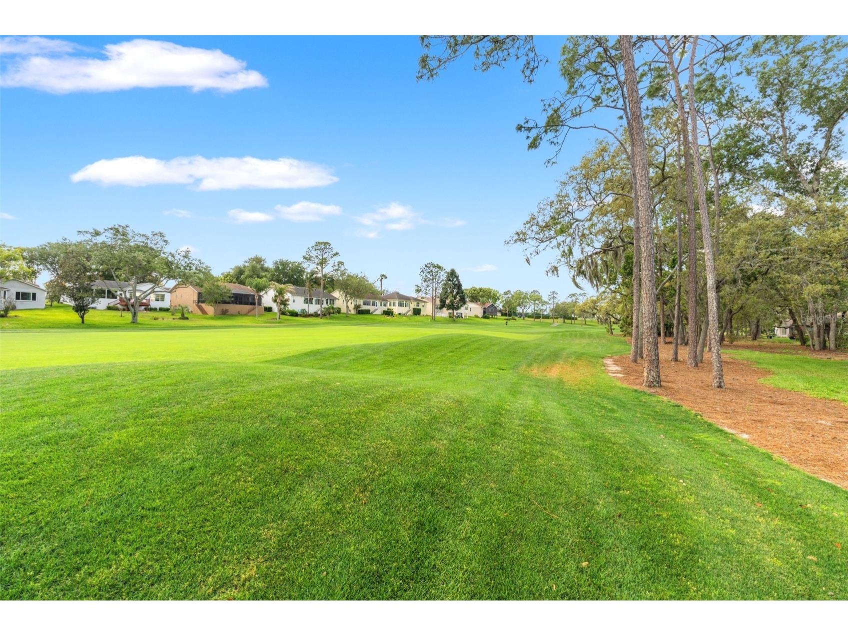7446 Baywood Forest Circle Spring Hill FL 34606 W7884637 image38