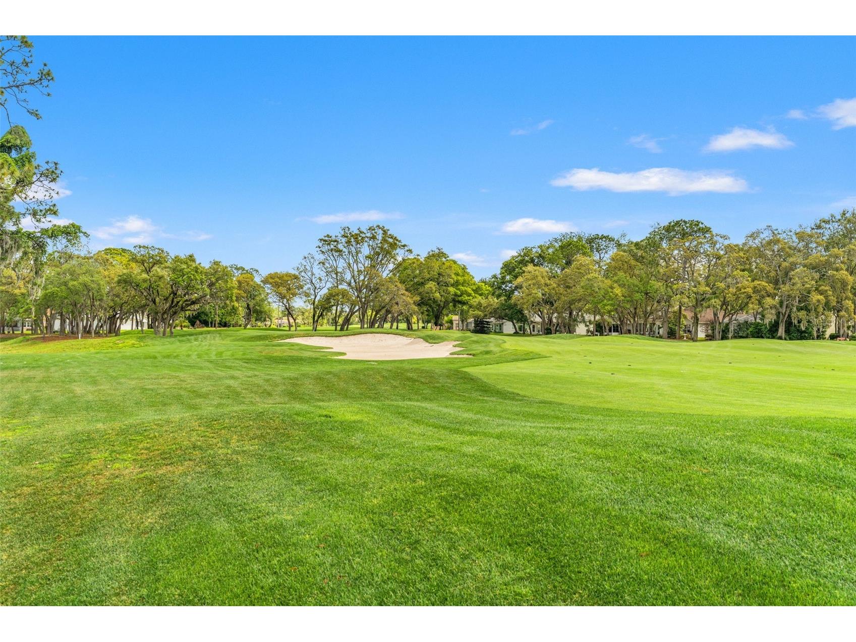 7446 Baywood Forest Circle Spring Hill FL 34606 W7884637 image39