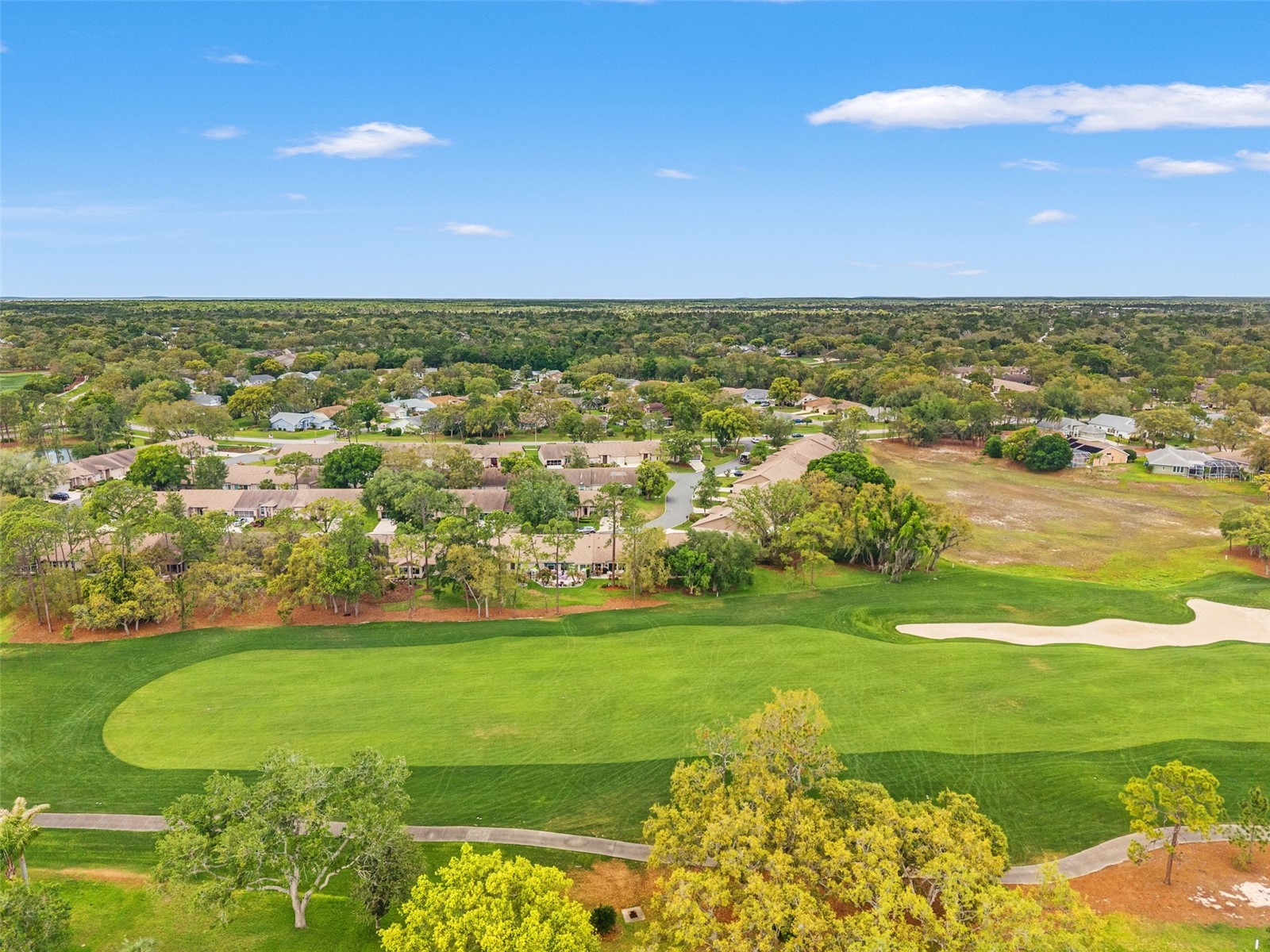 7446 Baywood Forest Circle Spring Hill FL 34606 W7884637 image44