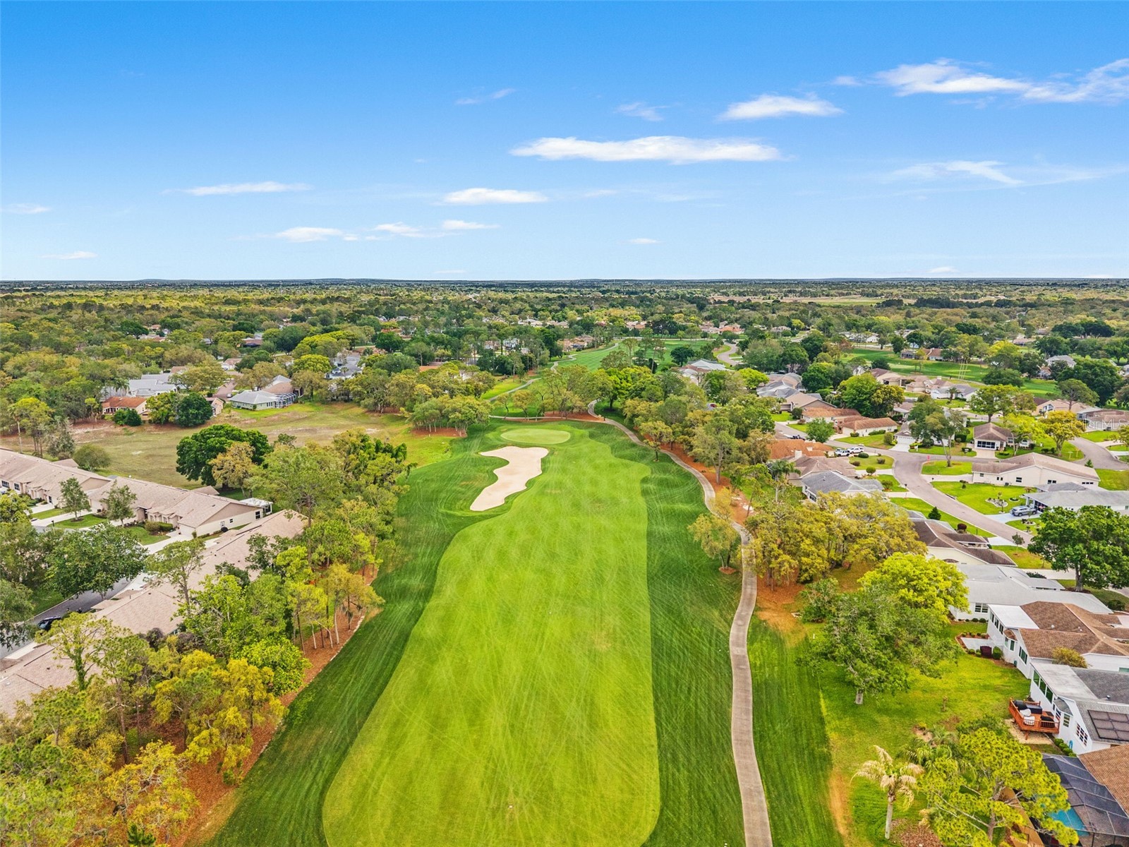 7446 Baywood Forest Circle Spring Hill FL 34606 W7884637 image45