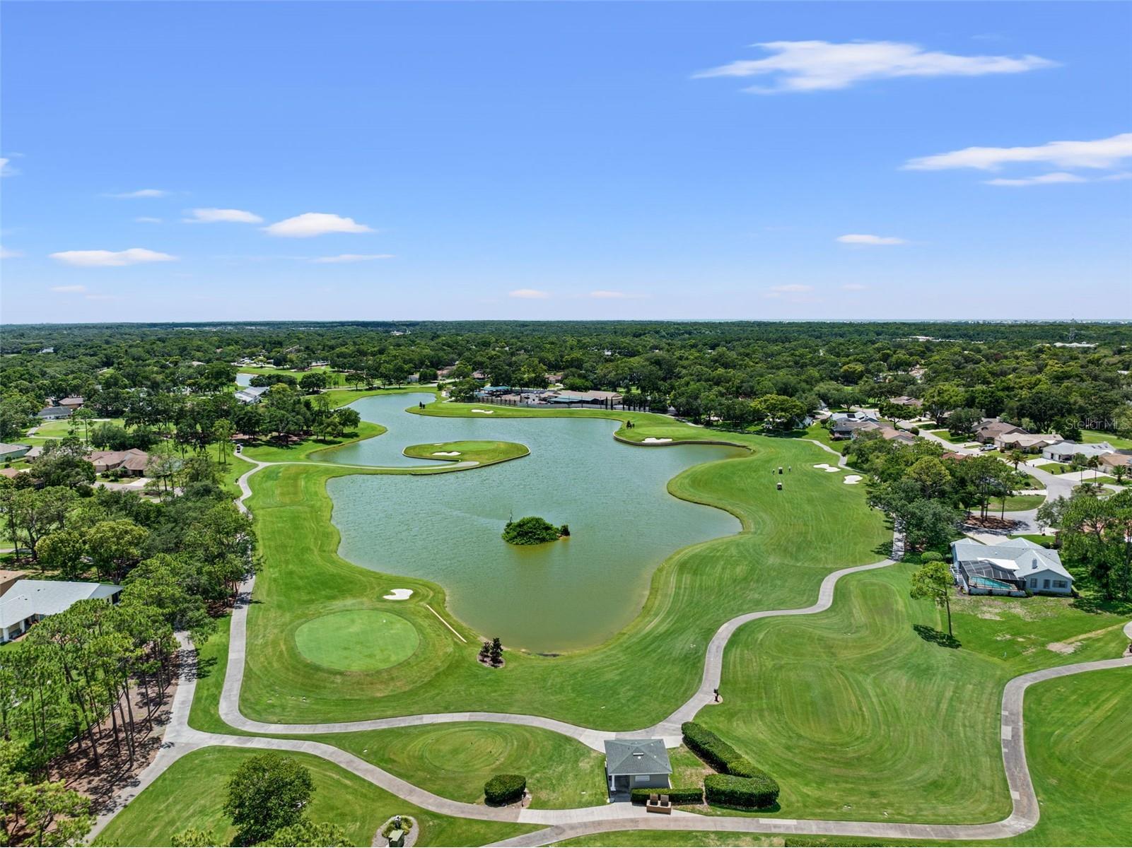 7446 Baywood Forest Circle Spring Hill FL 34606 W7884637 image47