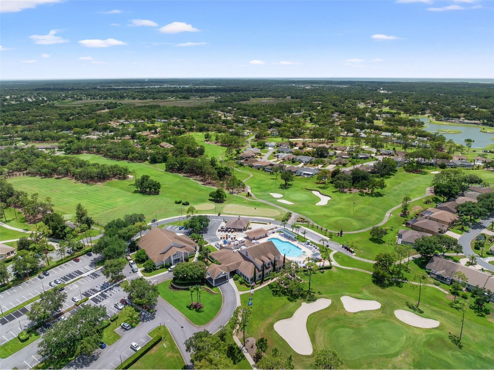 7446 Baywood Forest Circle Spring Hill FL 34606 W7884637 image52