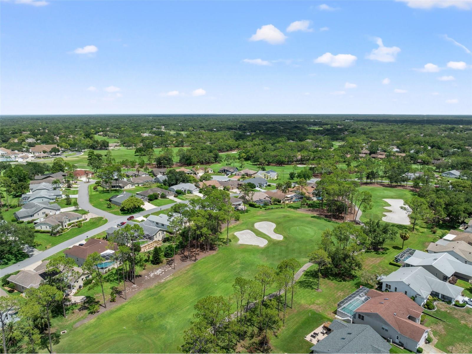 7446 Baywood Forest Circle Spring Hill FL 34606 W7884637 image54