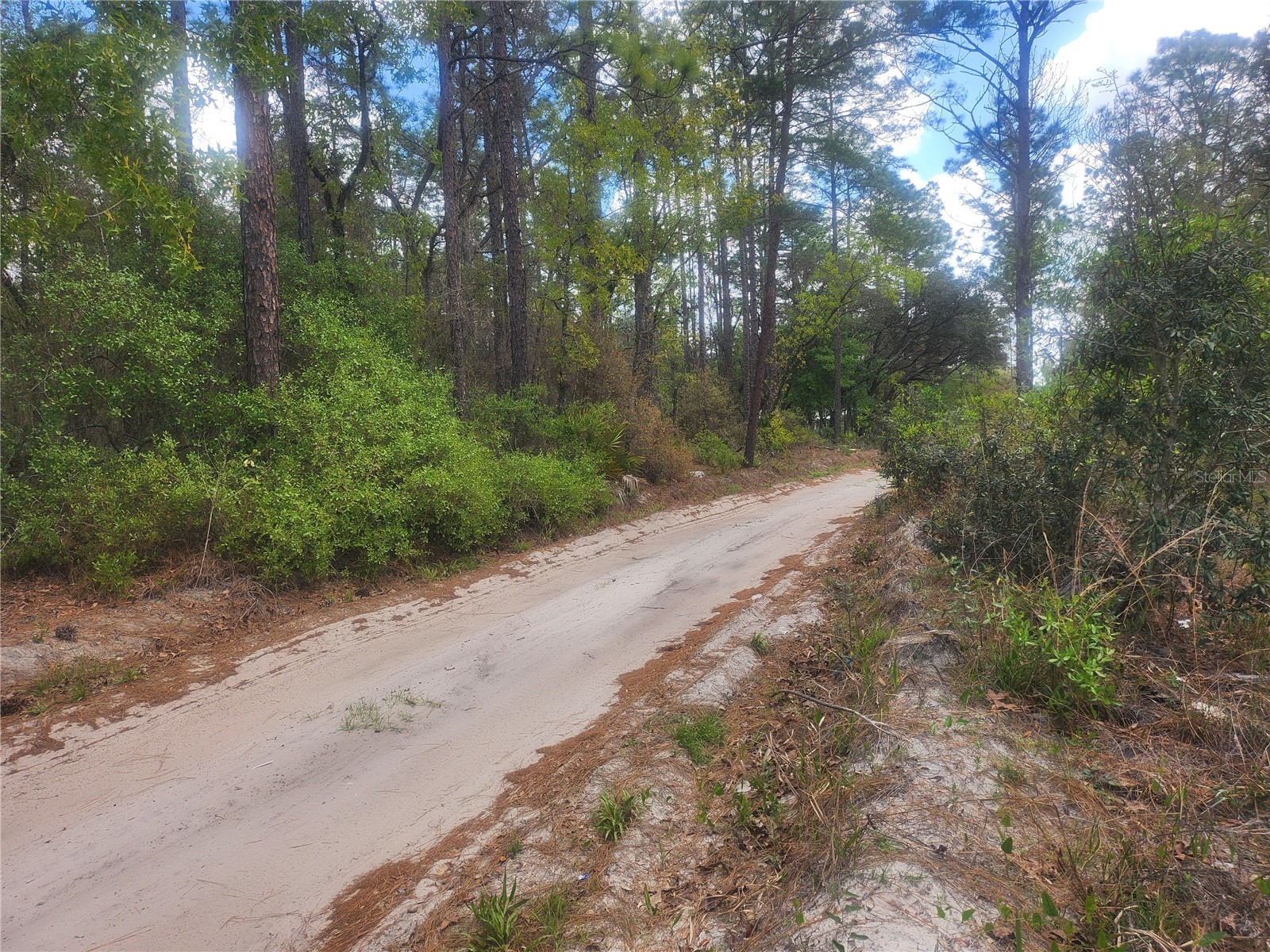 7446 SW 151st Place Dunnellon FL 34432 OM722570 image2