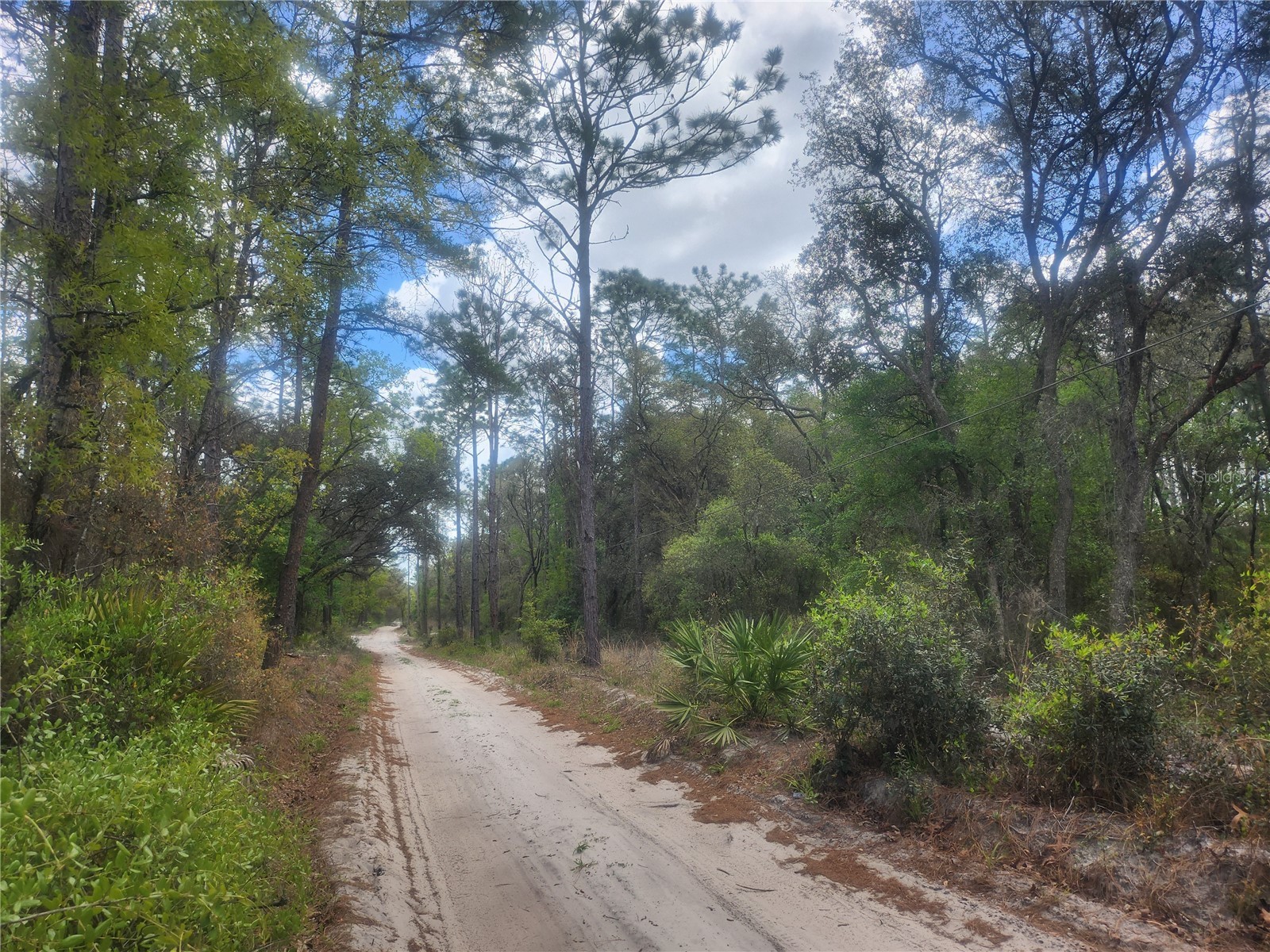 7446 SW 151st Place Dunnellon FL 34432 OM722570 image3