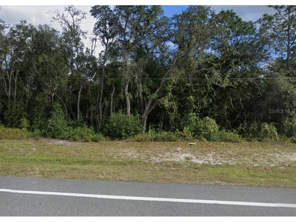 7446 Treiman Boulevard Webster FL 33597 TB8390708 image1