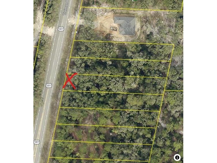 7446 Treiman Boulevard Webster FL 33597 TB8390708 image4