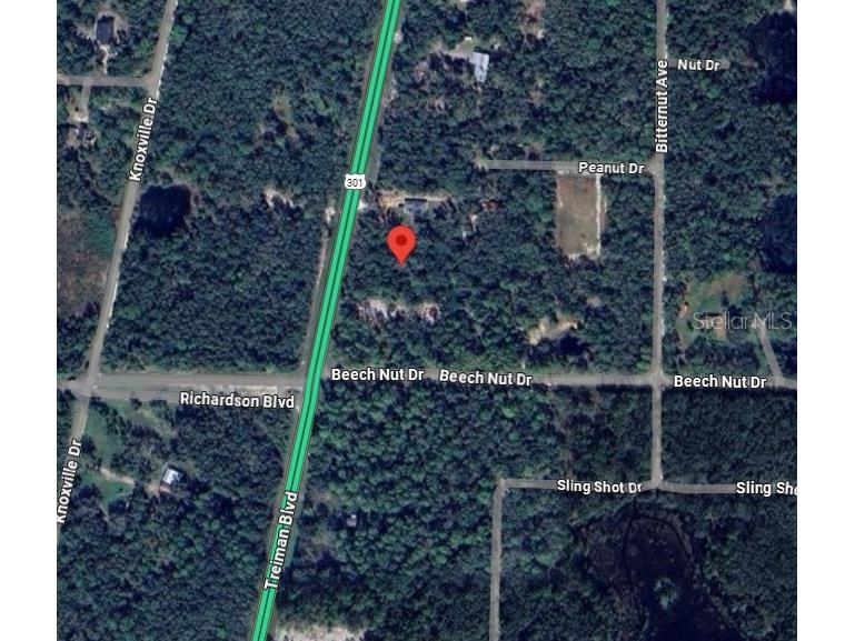 7446 Treiman Boulevard Webster FL 33597 TB8390708 image5