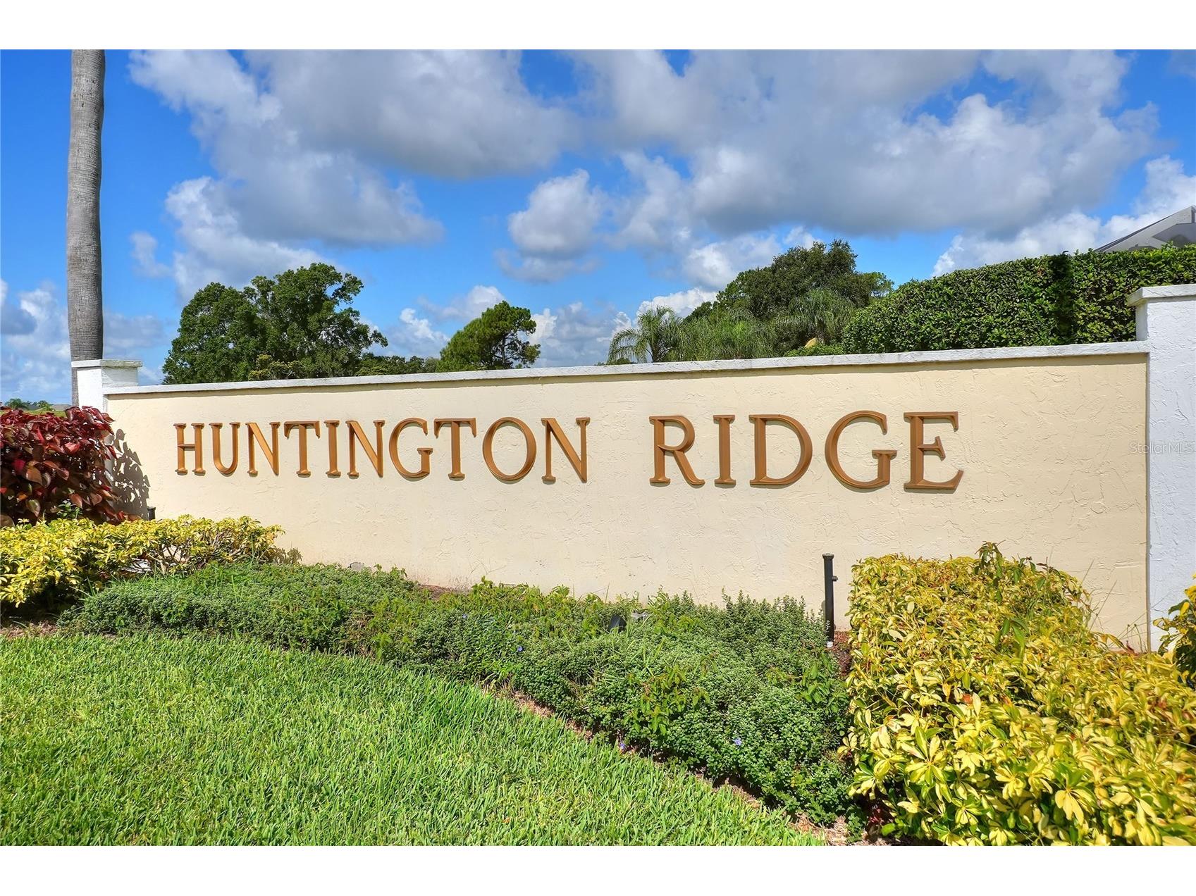 7447 Beaumont Drive Lakeland FL 33810 L4954377 image54