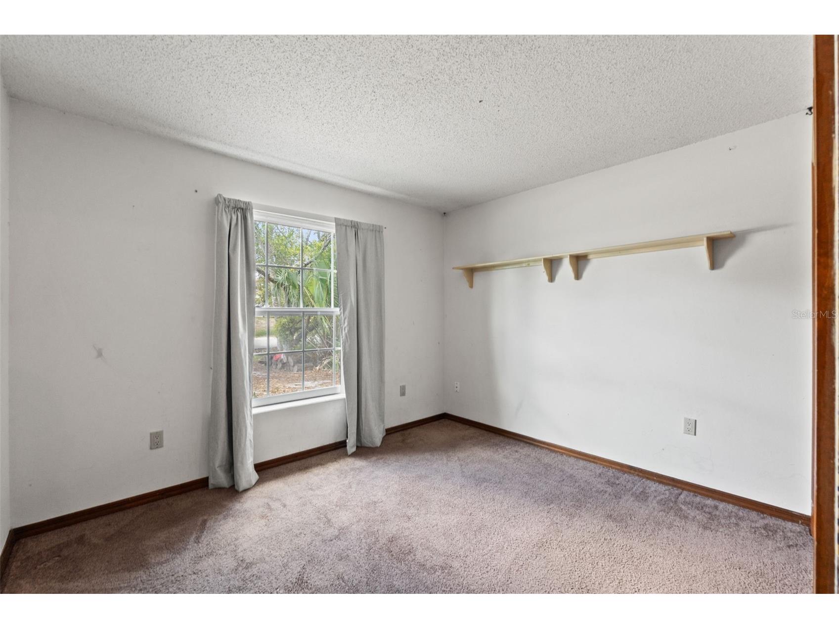 7447 Dundee Way Weeki Wachee FL 34613 TB8516323 image23
