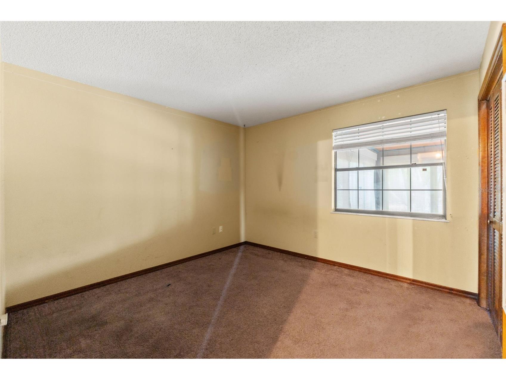 7447 Dundee Way Weeki Wachee FL 34613 TB8516323 image26