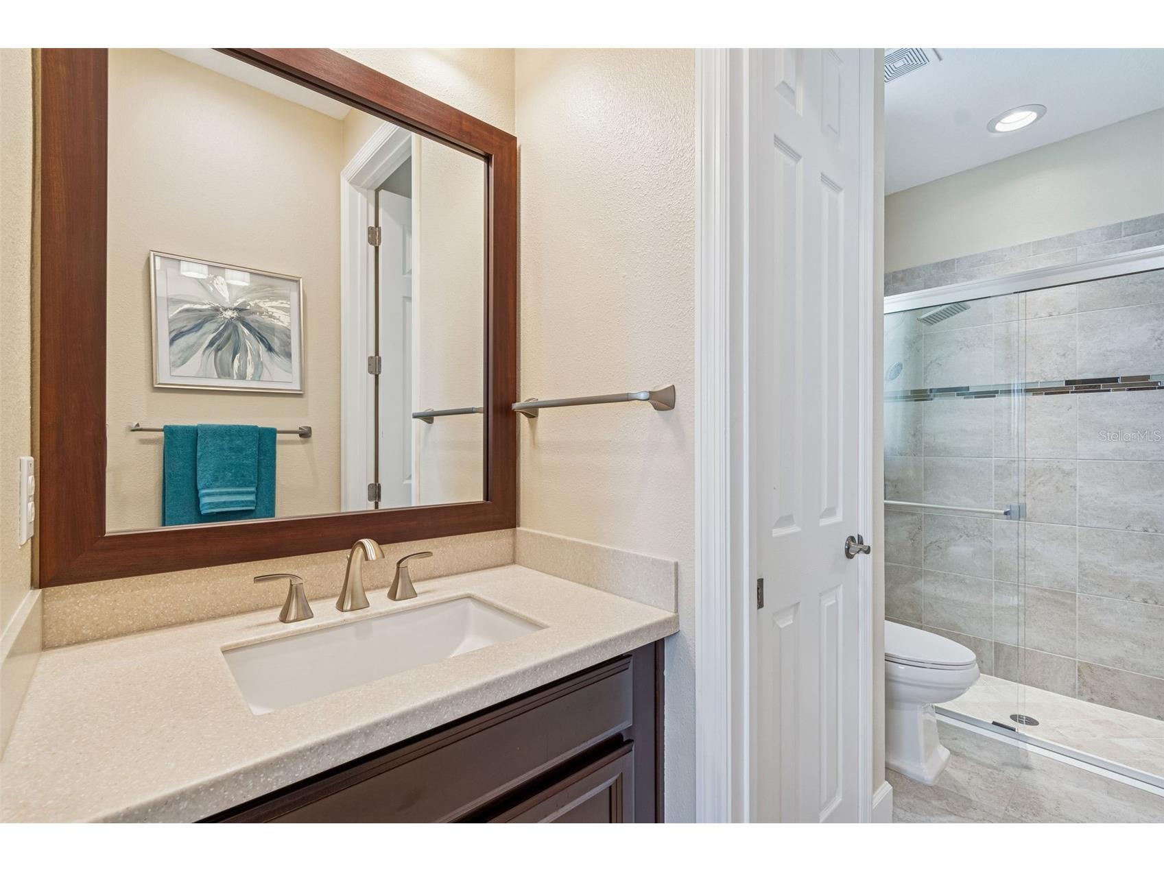7447 Lancaster Loop Wesley Chapel FL 33545 TB8478541 image46