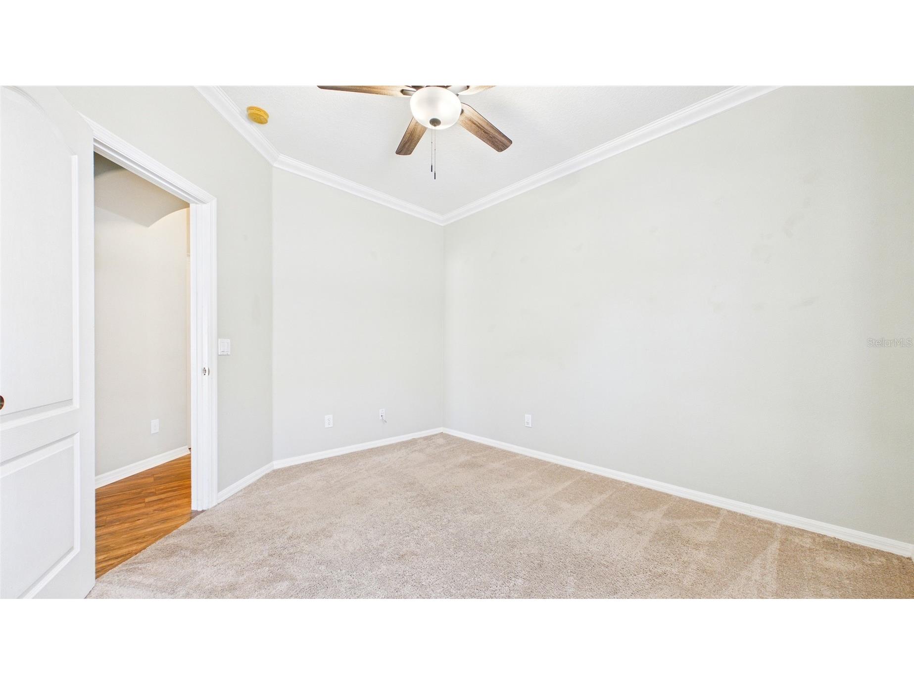 7447 Surrey Pines Drive Apollo Beach FL 33572 TB8499559 image10