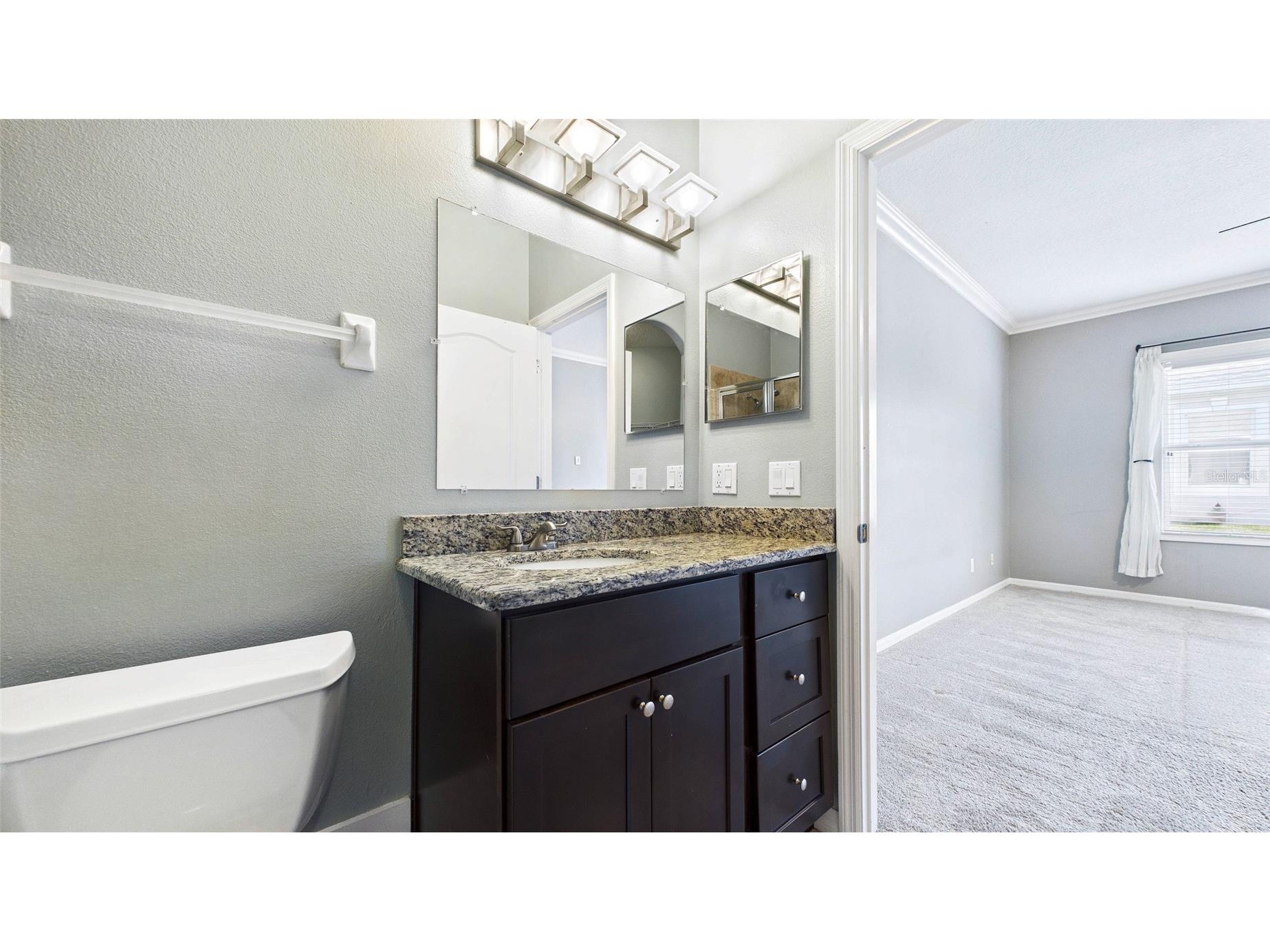 7447 Surrey Pines Drive Apollo Beach FL 33572 TB8499559 image38