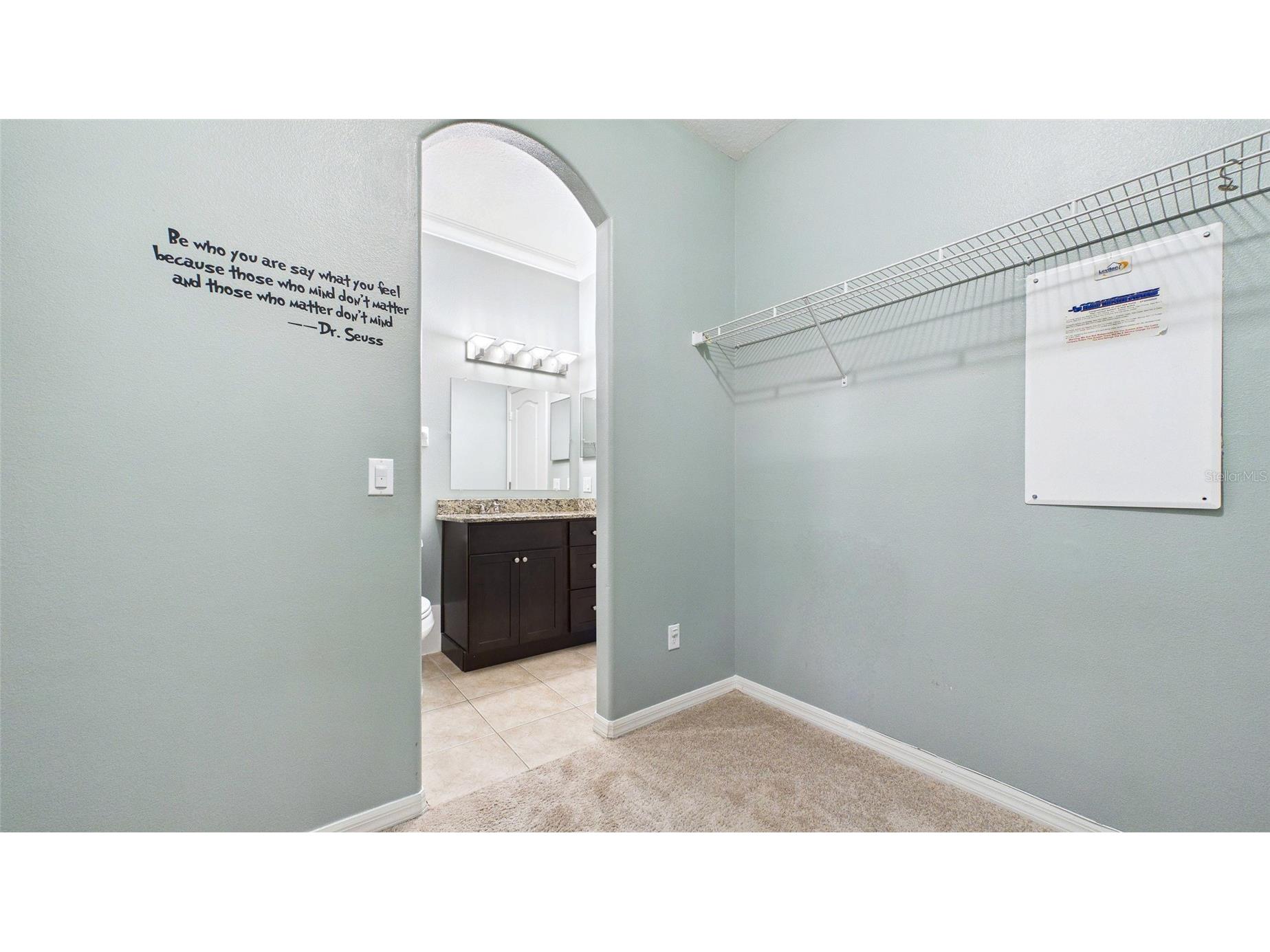 7447 Surrey Pines Drive Apollo Beach FL 33572 TB8499559 image39