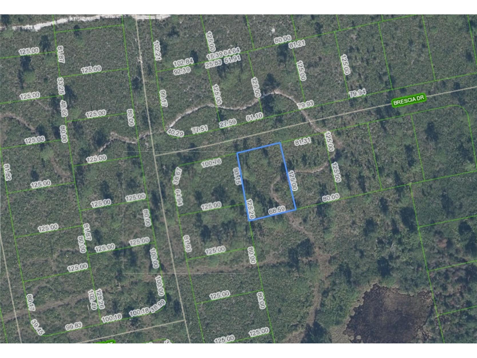 7448 Bresica Drive Sebring FL 33872 P4938553 image1