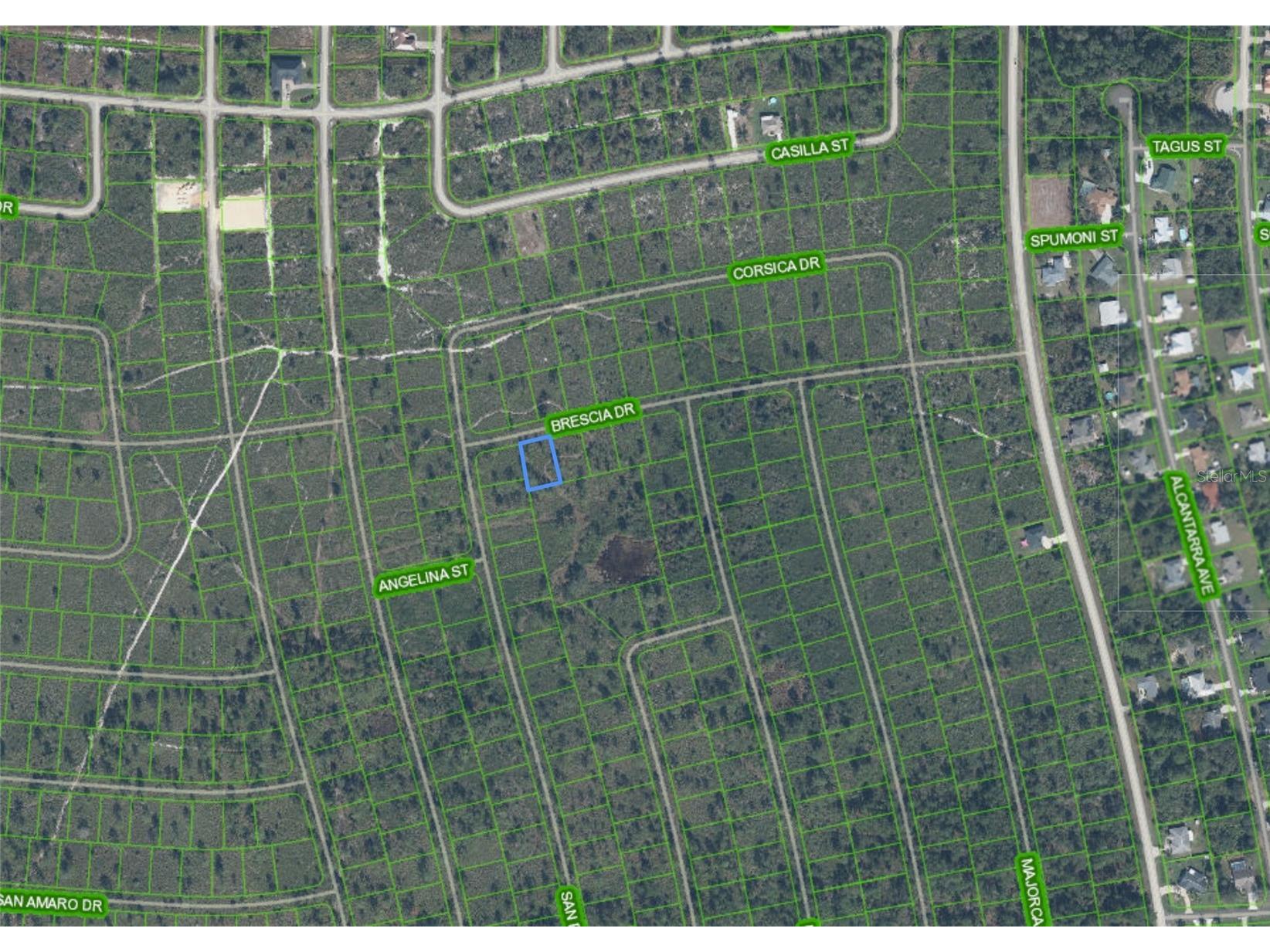 7448 Bresica Drive Sebring FL 33872 P4938553 image2