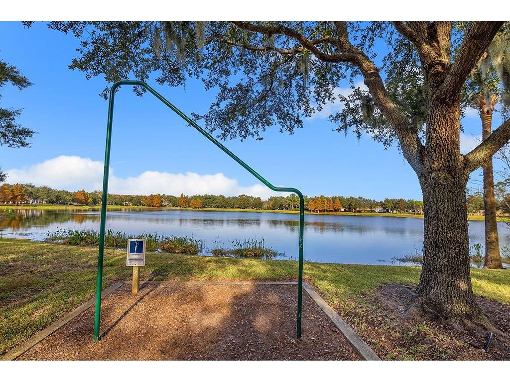 7448 Leighside Drive Windermere FL 34786 S5137210 image35