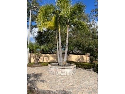7448 Sugar Bend Drive #7448 Orlando FL 32819 O6371329 image26