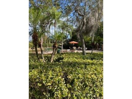 7448 Sugar Bend Drive #7448 Orlando FL 32819 O6371329 image27