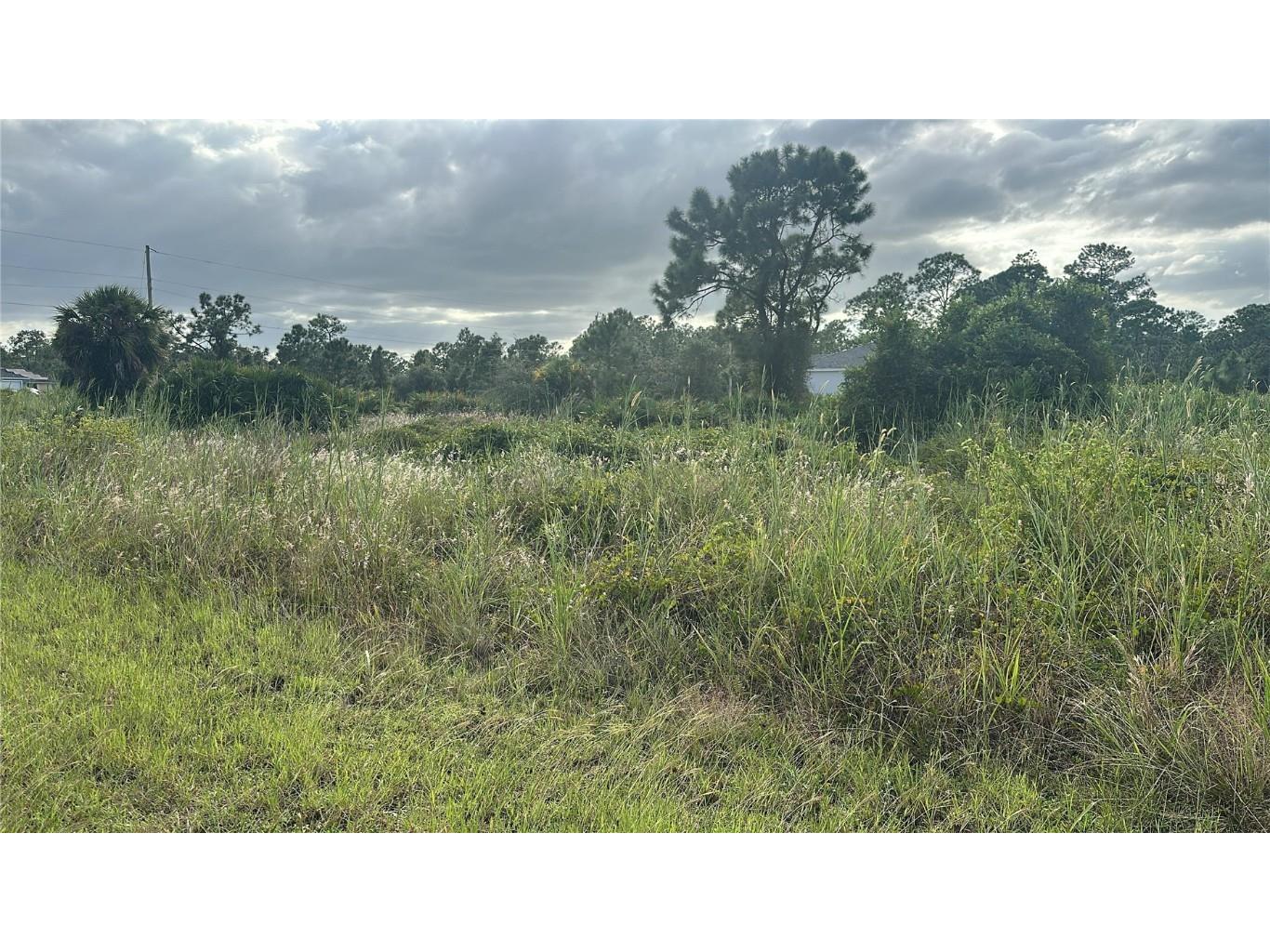 745 Avondale Street E Lehigh Acres FL 33974 O6355613 image4