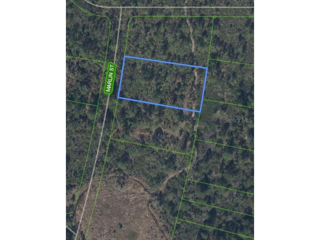 745 Marlin Street Lake Placid FL 33852 O6345697 image1