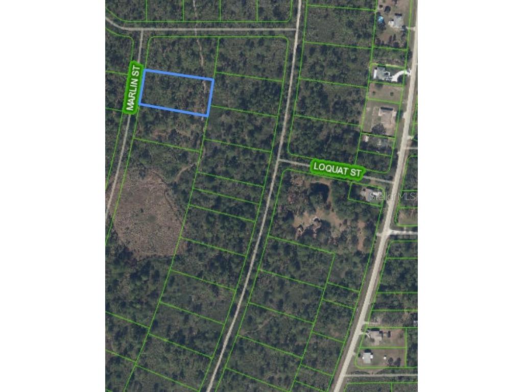 745 Marlin Street Lake Placid FL 33852 O6345697 image2