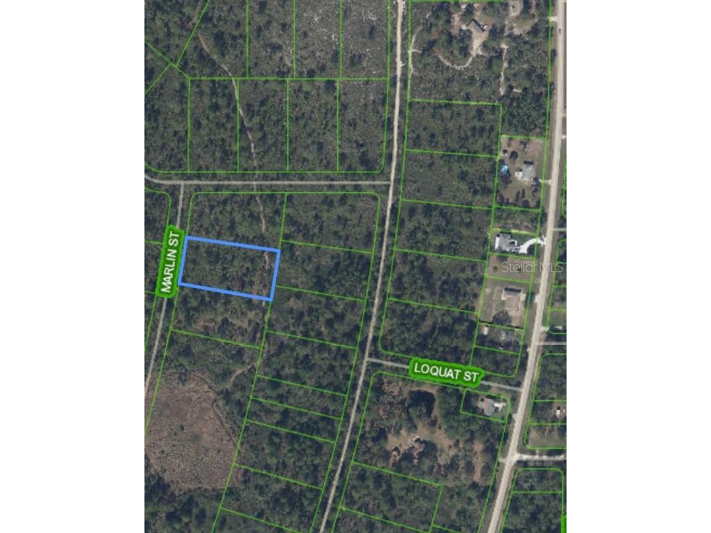 745 Marlin Street Lake Placid FL 33852 O6345697 image3