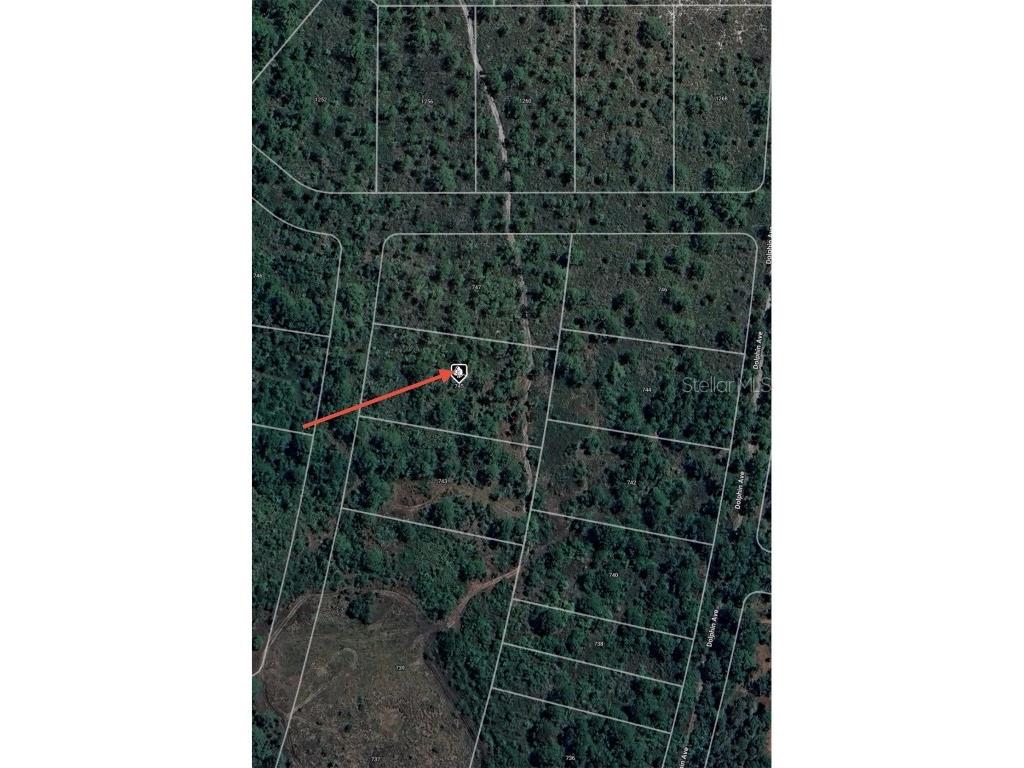 745 Marlin Street Lake Placid FL 33852 O6345697 image4