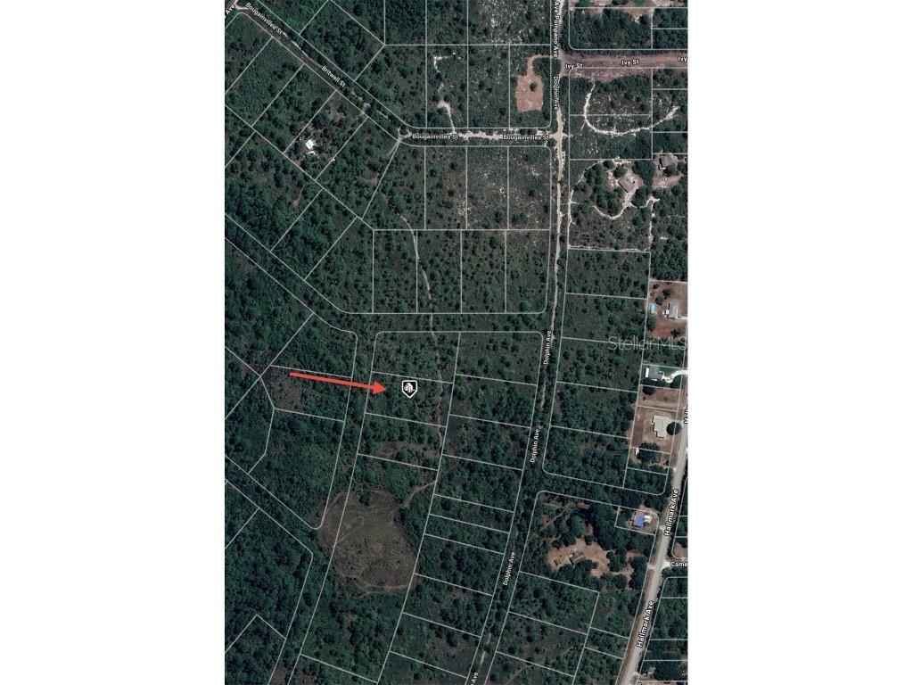 745 Marlin Street Lake Placid FL 33852 O6345697 image5