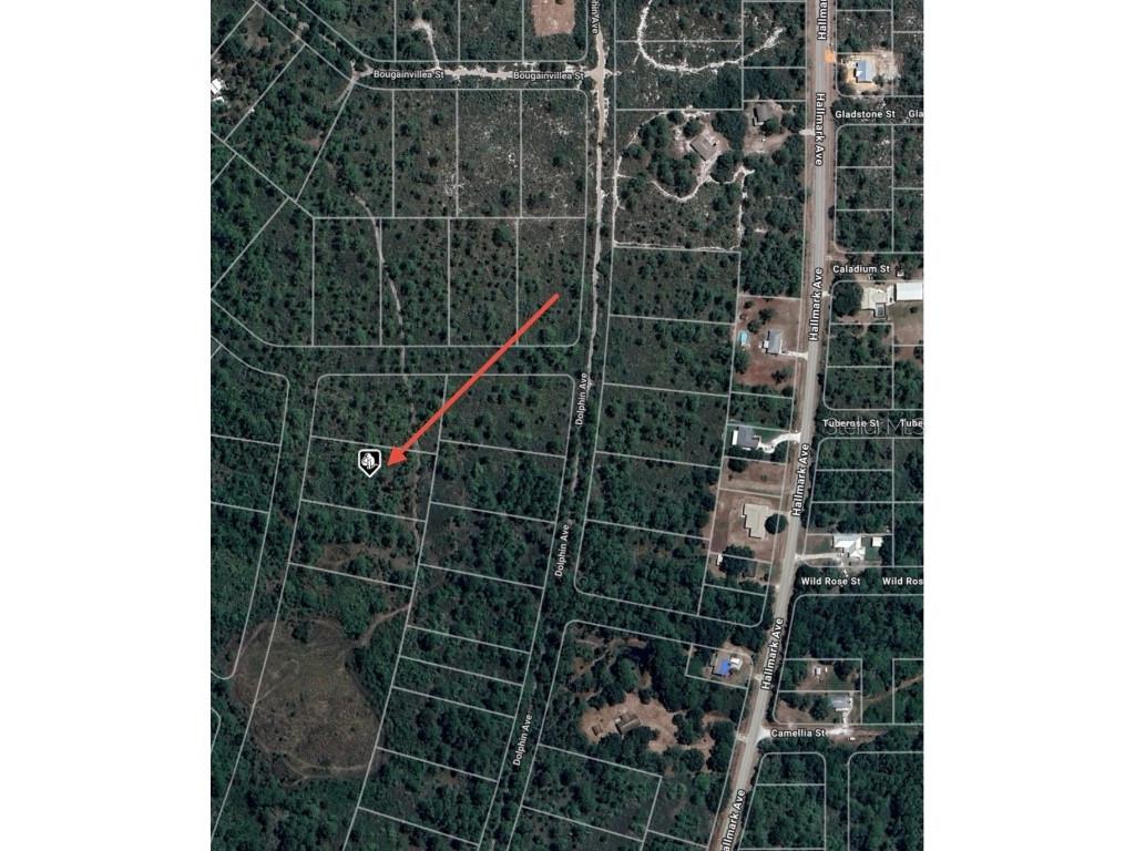 745 Marlin Street Lake Placid FL 33852 O6345697 image6