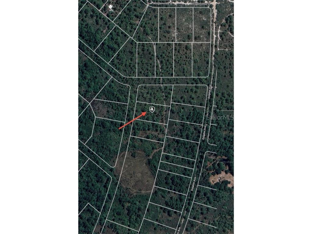 745 Marlin Street Lake Placid FL 33852 O6345697 image7