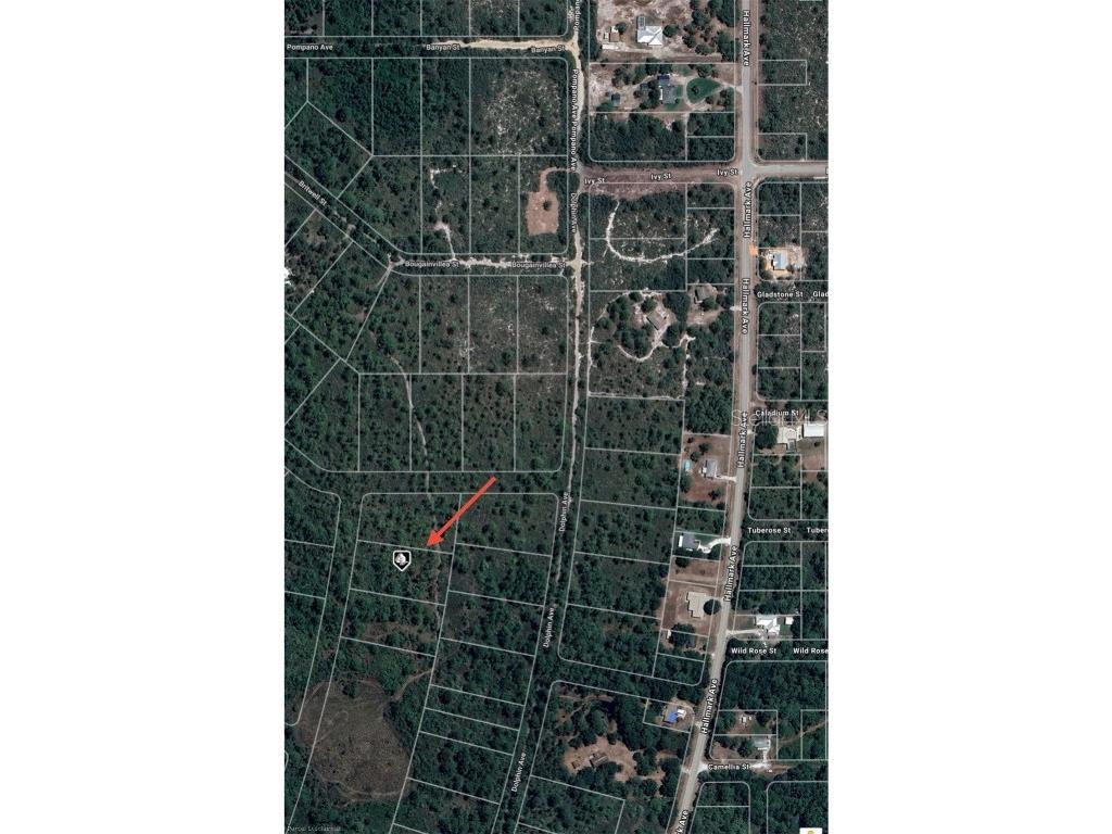 745 Marlin Street Lake Placid FL 33852 O6345697 image8