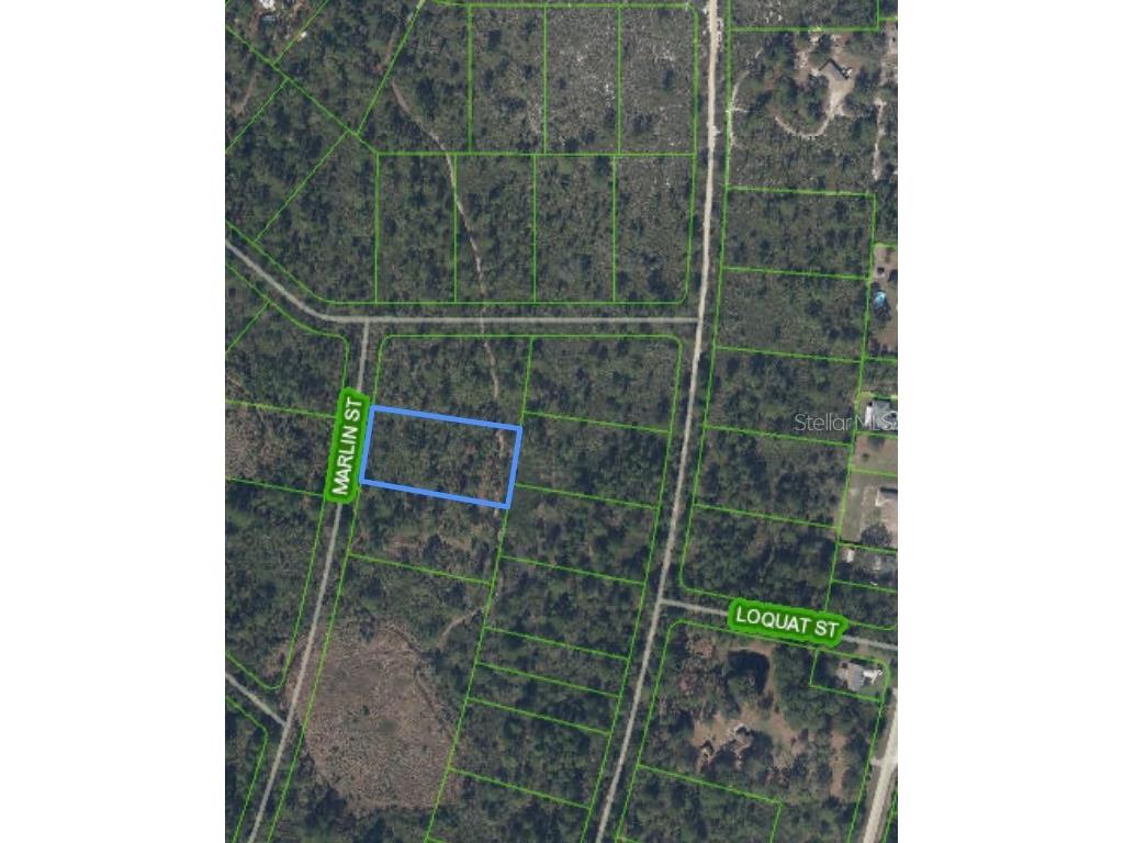 745 Marlin Street Lake Placid FL 33852 O6345697 image9