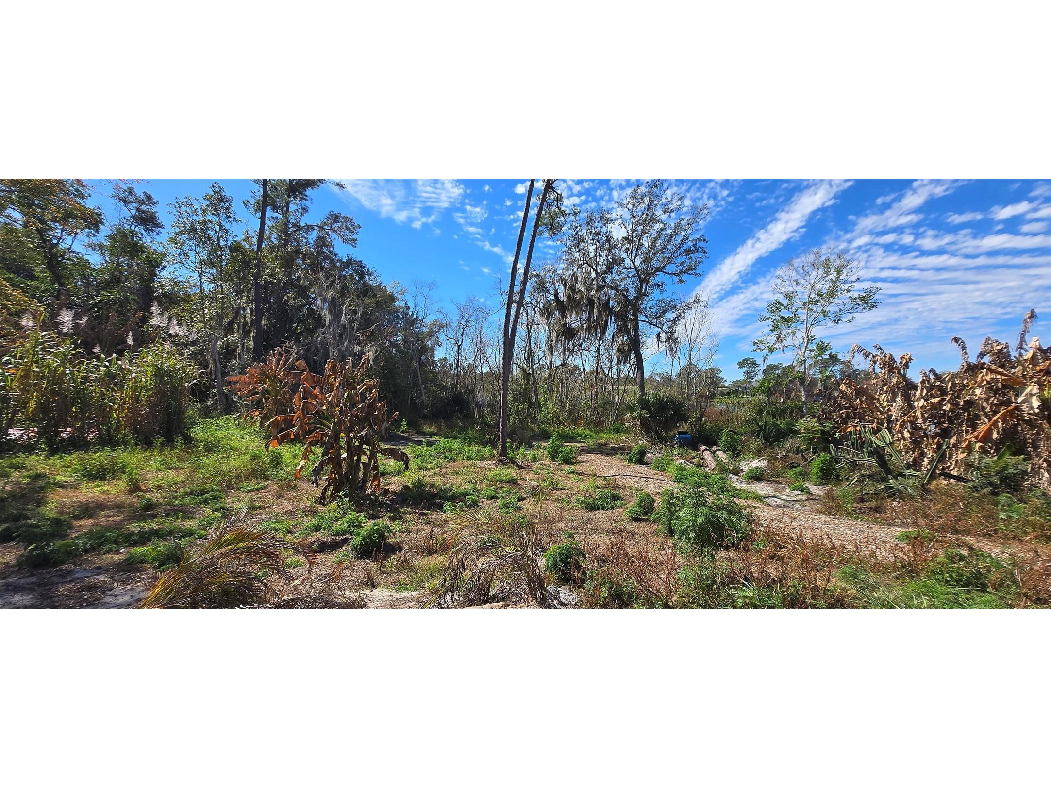 745 Waterfall Circle Deltona FL 32725 - LAKE LAPANOCIA O6376981 image10