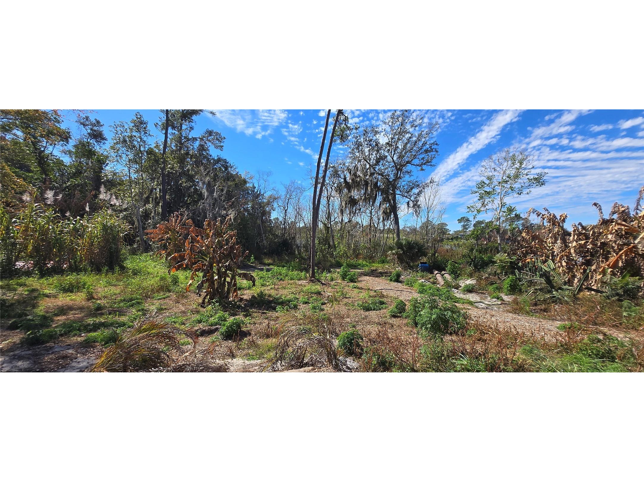 745 Waterfall Circle Deltona FL 32725 - LAKE LAPANOCIA O6376981 image11