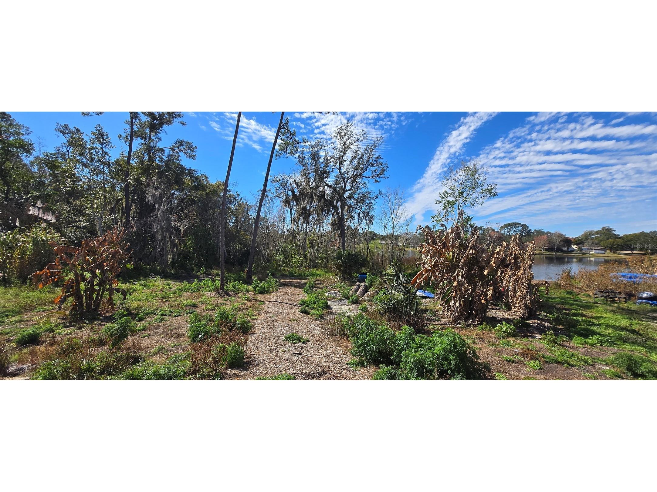 745 Waterfall Circle Deltona FL 32725 - LAKE LAPANOCIA O6376981 image15