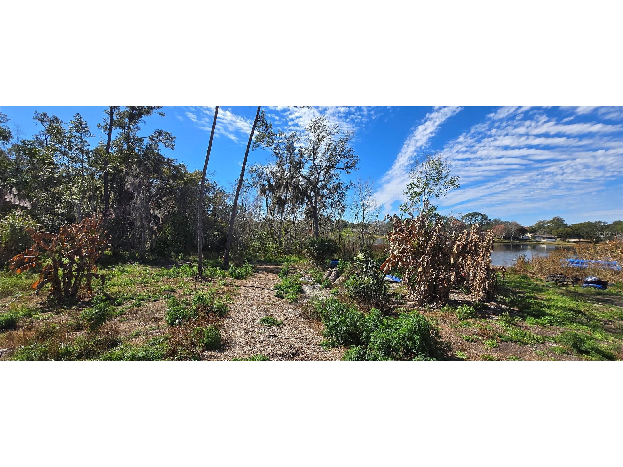 745 Waterfall Circle Deltona FL 32725 - LAKE LAPANOCIA O6376981 image16