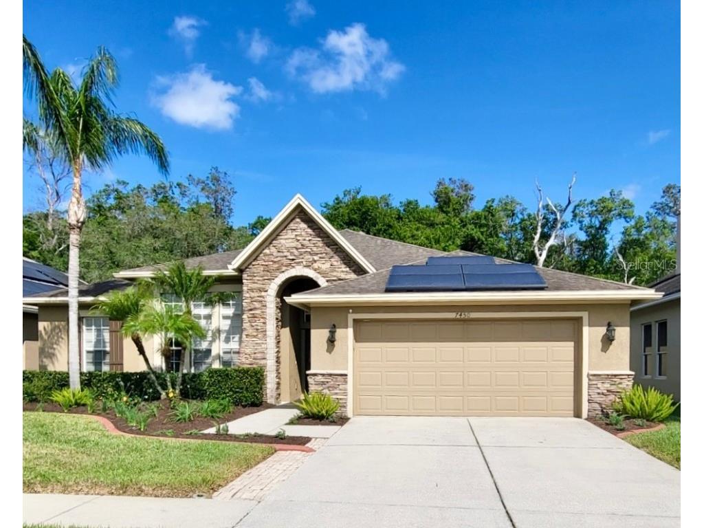 7450 Ambleside Dr Land O Lakes FL 34637 T3519564 image1