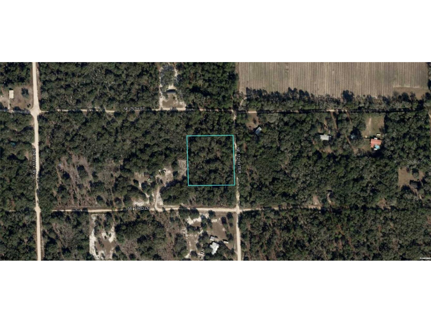 7450 NE 112th Terrace Bronson FL 32621 O6219928 image1