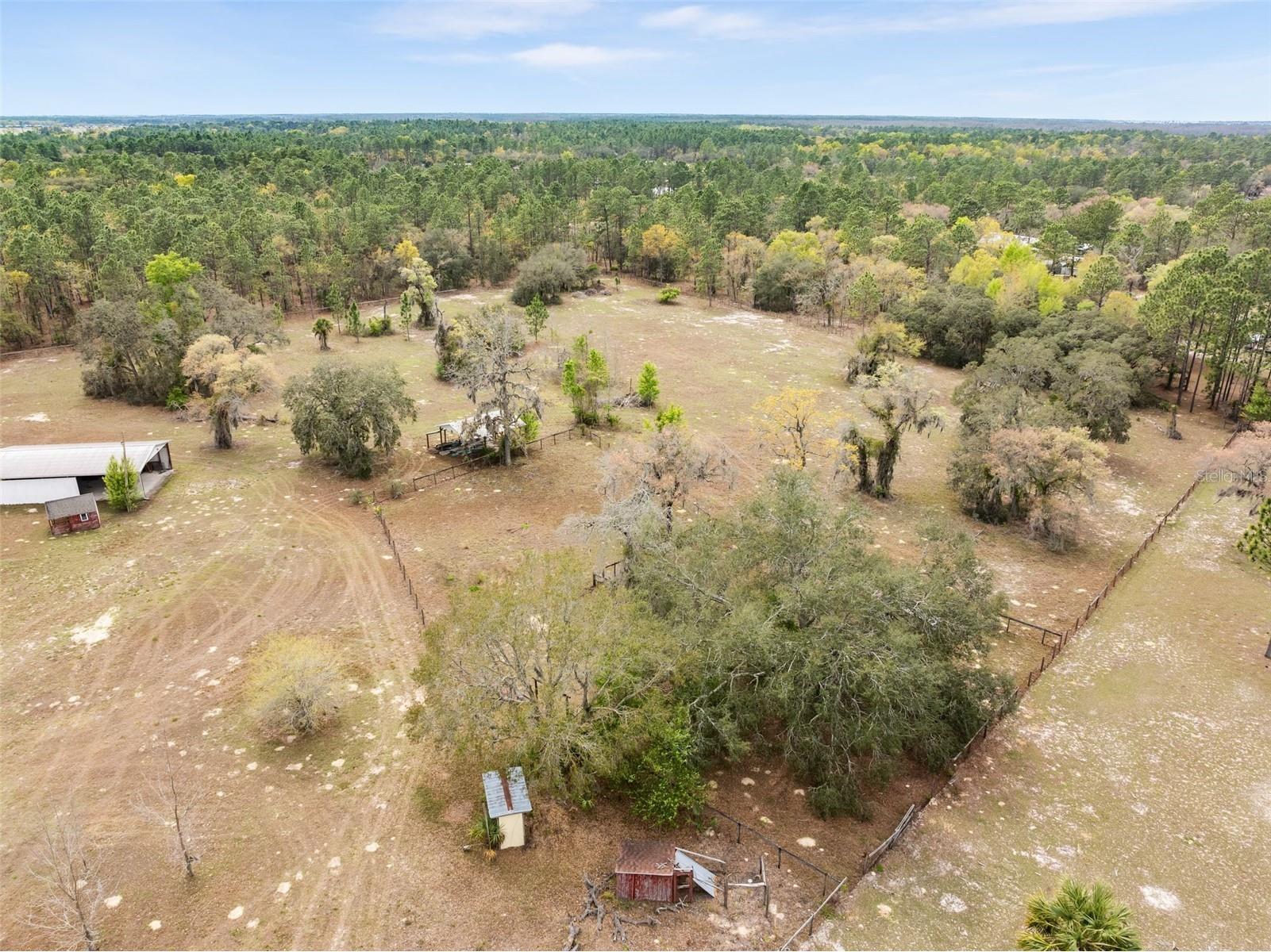 7450 SE State Road 121 Morriston FL 32668 OM721171 image46