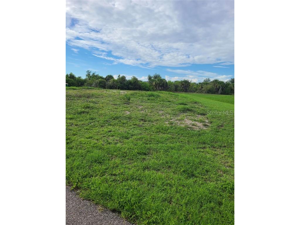 7450 Silage Circle Port Charlotte FL 33981 - BUTTERFORD WATERWAY TB8339405 image2