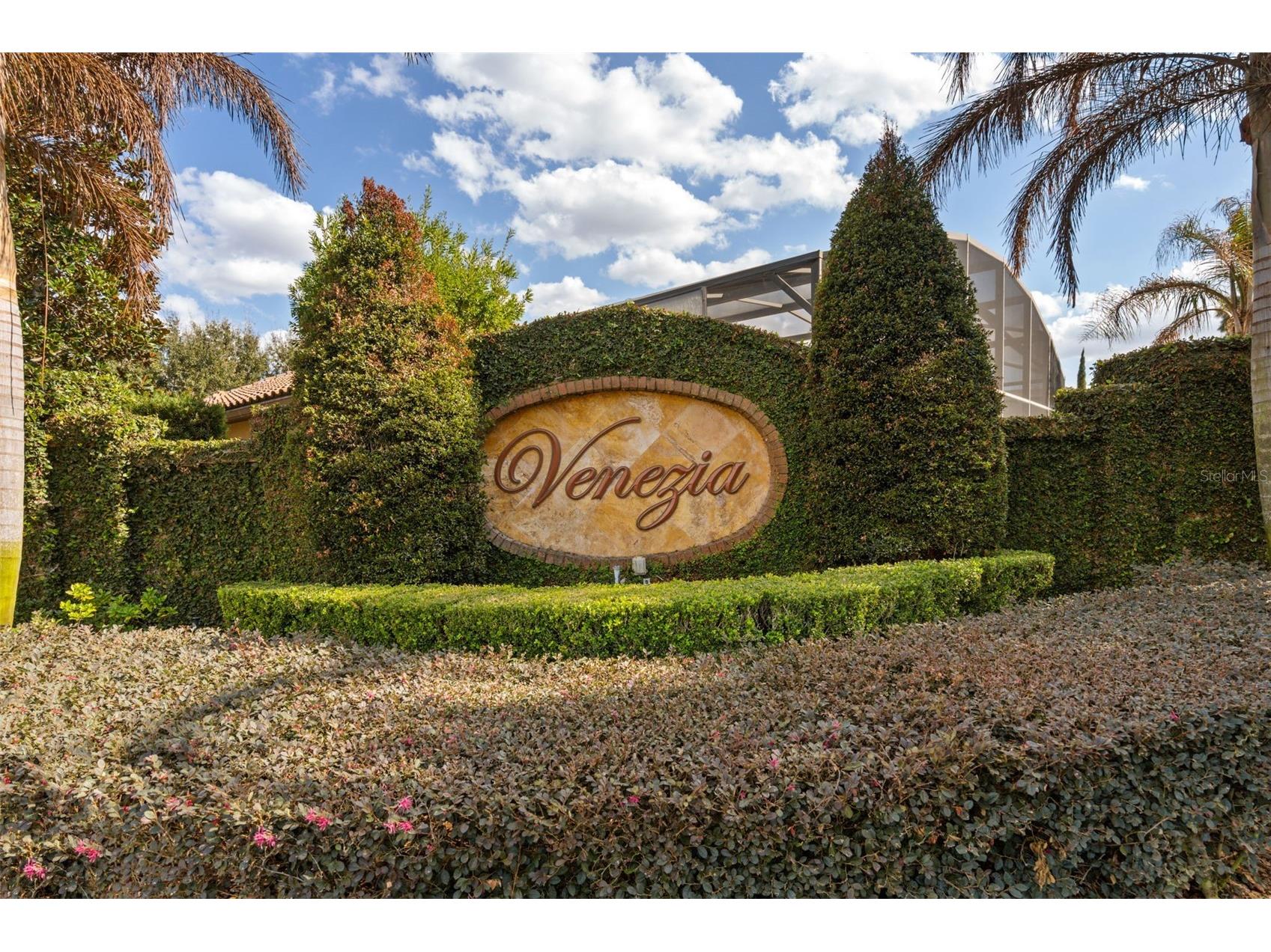 7451 Pointe Venezia Drive Orlando FL 32836 O6383578 image46