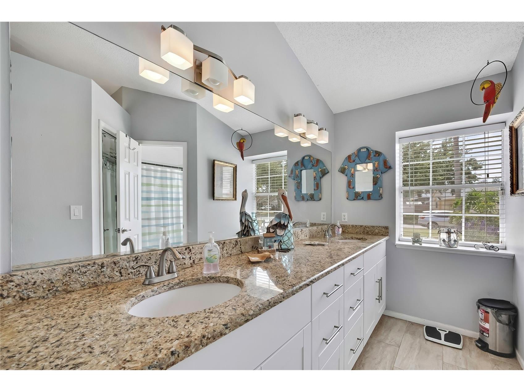 7451 Swan Lake Drive New Port Richey FL 34655 W7884798 image24